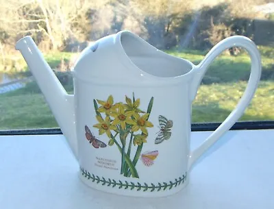 Buy Vintage Portmeirion Botanic Garden Large Watering Can Vase Narcissus Holds 3 Pt • 25£