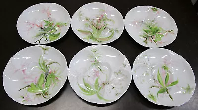 Buy Haviland & Co Limoges Hand Painted Oyster Plates 7 3/4 , Set Of 6 • 568.23£