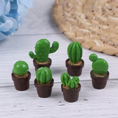 Buy 5pcs Dollhouse Miniature Resin Cactus DIY Plants Decoration Toys ZY NrA7AUJ DPFD • 5.15£