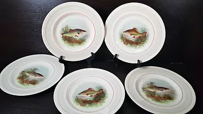 Buy 5x Set Woods Ivory Ware Fish Dinner Side Salad Plates 23cm • 29.99£