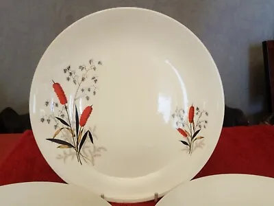 Buy 8 Vintage Retro Crown Clarence Red Rush RedRush Dinner Plate 25 Cm 9.75  1960's • 29.99£