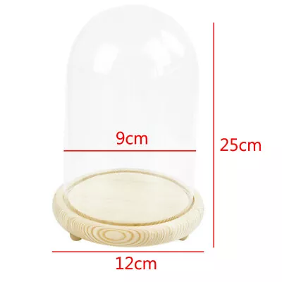 Buy 25CM Extra Large Glass Dome Display Bell Jar Cloche Wooden Base Xmas DIY Decor • 8.95£