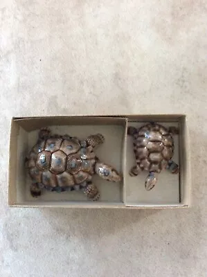Buy Wade Porcelain Baby Tortoises (2) Boxed • 18£