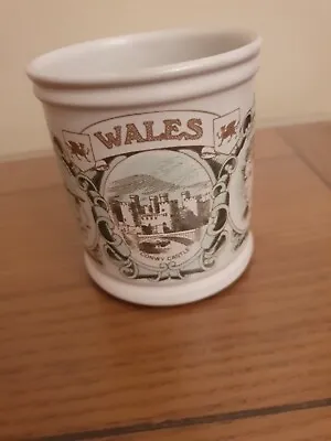 Buy Denby Stoneware 'Regions And Counties' Series Souvenir Mug Circa 1970s 'Wales' • 6.50£