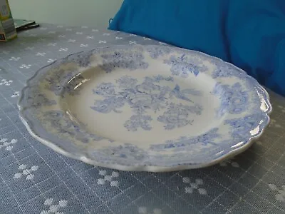 Buy Staffordshire Asiatic Pheasant Blue Dinner Plate, K & Co, 25cm Diameter • 4£
