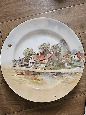 Buy Royal Doulton Seriesware D3647 Pattern 1920's English Cottages 27cm Rack Plate • 20£