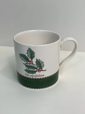 Buy Wedgwood Sarah's Garden Coffee/Hot Chocolate Cup With Recipe Printed On Mug • 15.36£
