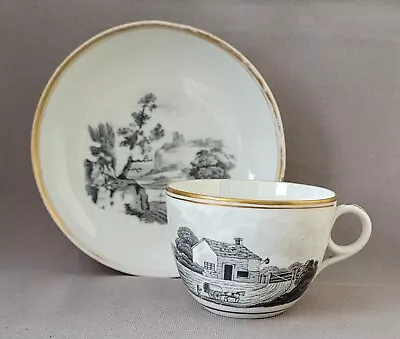 Buy New Hall Bat Printed Pattern 462 Cup & Saucer C1805-12 Pat Preller Collection • 20£