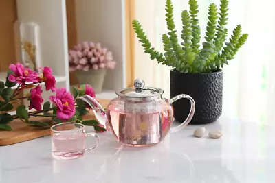Buy Clear Glass Teapot With Stainless Steel Infuser Leaf Tea Pot Tool Kettle Set • 46.26£