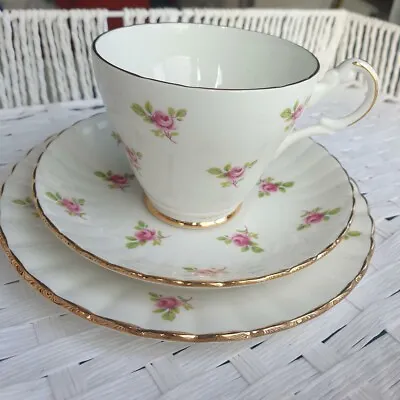 Buy Royal Stafford/Argyle  Rose Bud Bone China Tea Cup, Saucer And Side Plate • 13.99£