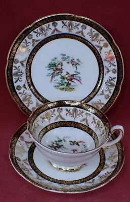 Buy Royal Grafton 1950's Cup, Saucer & Side Plate Trio Gilded / Exotic Birds  ❀ڿڰۣ❀ • 14.99£
