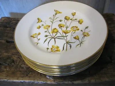 Buy Spode Bone China 27 Cm Dinner Plates .Buttercup Gold Edged Design . Set Of 10 . • 145£