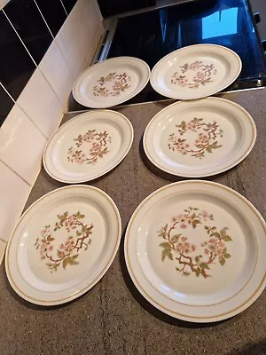 Buy Vintage Pyrex Dinner Plates Lisa Cherry Blossom X 6 • 23.99£