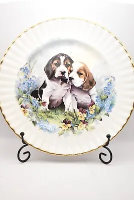 Buy Vintage Royal Vale Bone China Decorative Plate Of Beagle Puppies • 9.95£