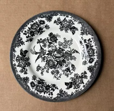 Buy Salad Plate 8 1/2” Royal Stafford Asiatic Pheasant Black White Fine Earthenware • 10.41£