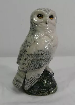 Buy Royal Doulton Snowy Owl Whyte & Mackay Decanter Figurine -Thames Hospice • 15£