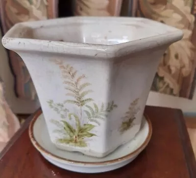 Buy Vintage Royal Winton Staffordshire Hexagonal Ceramic Planter Plant Pot Fern • 6.99£
