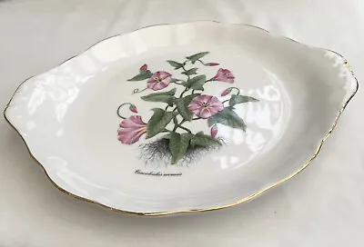 Buy Royal Vale Cake Serving Plate With Handles, Convolvulus Arvensis Flowers  • 10£