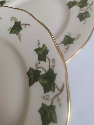 Buy Colclough Ivy Leaf Pretty Christmas Bone China Side Plates  X 6 Good Condition  • 45£