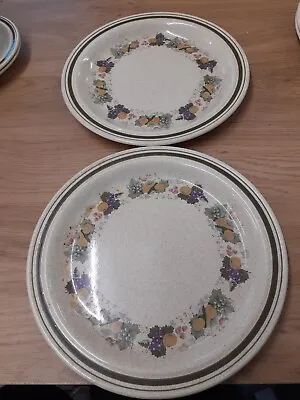 Buy  2 Royal Doulton Harvest Garland Dinner Plates  • 8£