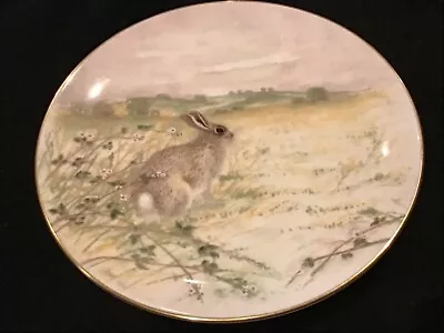 Buy Royal Doulton-Fine Bone China Plate-Country Life-Bobtailed Rabbit-Jane Neville • 12£