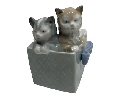 Buy Nao By Lladro Cat Kittens In Box Porcelain Figure 1988 ( B16), Decorative • 17.47£