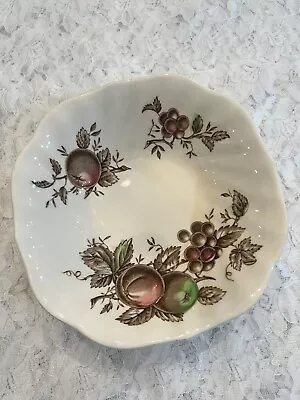 Buy 1 Johnson Brothers Harvest Time Brown Multicolor Soup/Cereal Bowl • 8.63£