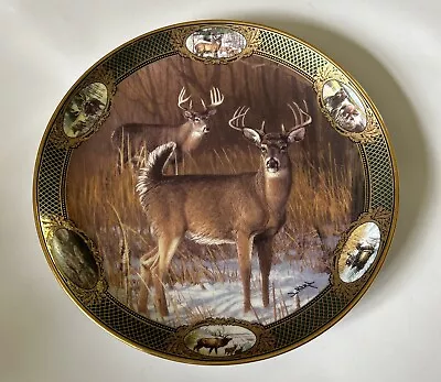 Buy Franklin Mint 10 Point Buck Collector Plate Fine Porcelain Limited Edition  • 5.99£