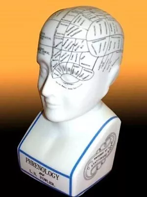 Buy Phrenology Head L.N Fowler Porcelain 12'' Ceramic Head Antique  Crackle Glaze • 22.99£