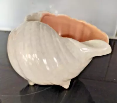 Buy Small Poole Pottery Twintone Conch Shell Peach Bloom & Seagull Grey • 17.99£