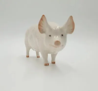 Buy Beswick Pottery  Pig Champion Wall Queen 40 Vintage   • 15£
