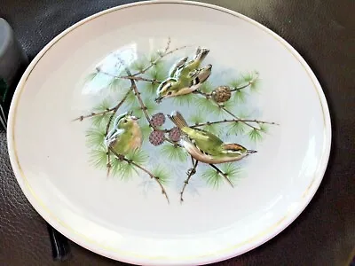 Buy Hammersley For Royal Worcester Goldcrest Embossed Bird Plate • 3.99£