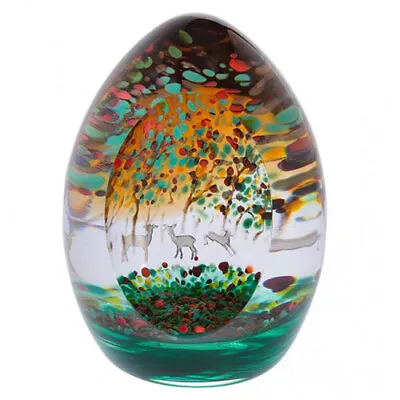 Buy Caithness Glass Paperweights Limited Editions - Various Designs • 145£