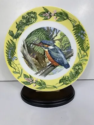 Buy Royal Grafton Plate 'A Nestful' From The Springtime Series By Angus McBride • 6.99£