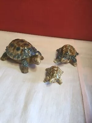 Buy Wade;Tortoise Family.(3)1958-88.Father50x105mm.Mother35x75mm.Baby25x45mm.ex.con. • 18.50£