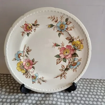 Buy Vintage Swinnertons Staffordshire  Majestic Vellum  Plate With Floral Decoration • 5.65£