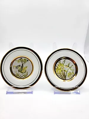 Buy Vintage Japanese Chokin 4 Inch Plates 24kt Gold And White X2  • 9.99£