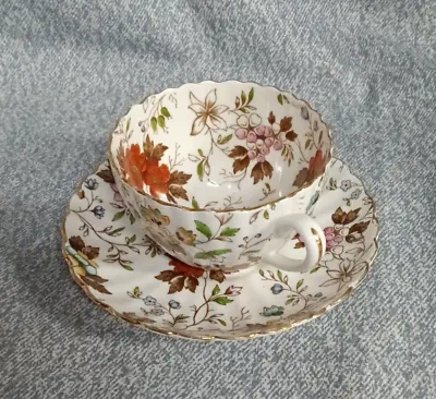 Buy Vintage Samuel Radfords Bone China “ The Gatineau” Porcelain Cup And Saucer • 23.75£