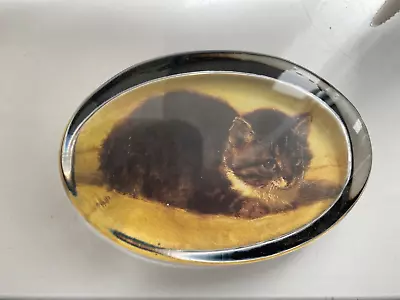 Buy Glass Paperweight Paper Weight Cat Persian Tabby Norwegian Forest Type • 3.99£