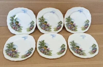 Buy Royal Vale Tea Plates Set- Vintage Bone China English Cottage & Garden Set Of 6 • 15£
