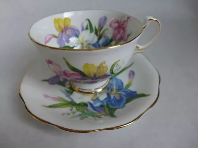 Buy Royal Standard Fine Bone China Tea Cup & Saucer-  Winsome  Irises • 18.89£