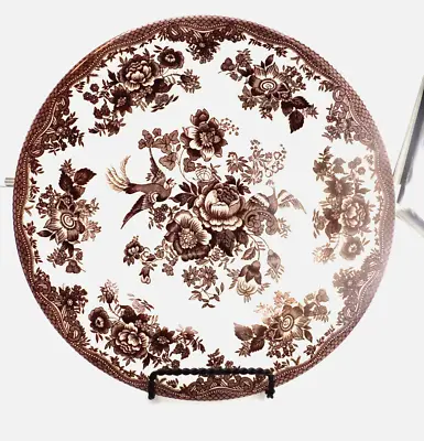 Buy Royal Stafford England Asiatic Pheasant Dinner Plate Brown, 11 Inches • 20.16£