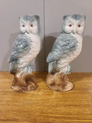 Buy Vintage Pair Of Large Ceramic Owls • 15£