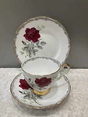 Buy Royal Stafford Vintage Bone China ‘Roses To Remember’ Trio, Cup Saucer & Plate • 6£