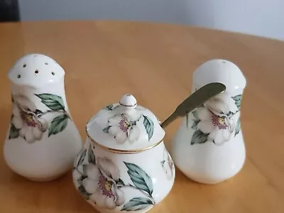 Buy Staffordshire Pottery Tableware Salt Pepper And Sauce Jar With Spoon • 10£