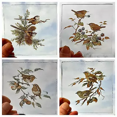 Buy Stained Glass 4 Bird Pieces Kiln Fired Robin, Wren, Chaffinch, Long Tailed Tit • 75£