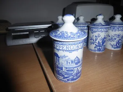 Buy Beautiful Spode Blue Room Spice Jar • 12£