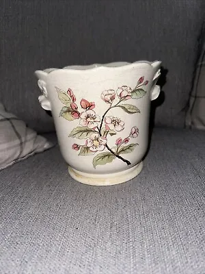 Buy Royal Winton Pottery Ironstone England Ceramic Floral Plant Pot Large • 10£
