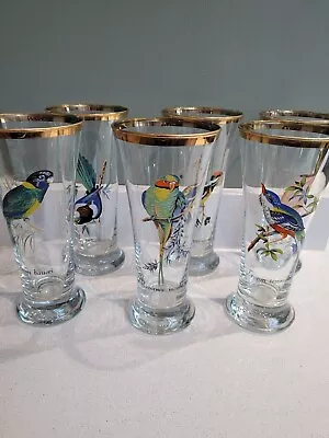 Buy Vintage Tumbler Cocktail Glasses  Gold Rim Art Deco Retro Tropical Birds X 6  • 24.99£