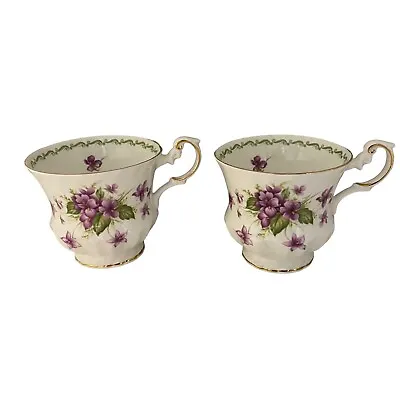 Buy Vintage Queens Rosina China Co February Violets Special Flowers Tea Cup X2 Cups • 10.49£
